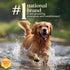 4 Oz BURT'S BEES FOR PETS Dog Paw and Nose Lotion with Rosemary and Olive Oil, Moisturizing Paw Balm for Dry Cracked