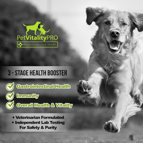 Probiotics for Dogs with Natural Digestive Enzymes, 60 Count, Soft Chews for Diarrhea, Upset Stomach, Allergies