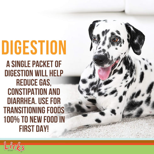 Dog Digestion - Dog Gut Health and Gas Relief - Bloating Relief Supplement for Dogs - Gel Packets - 10 Use