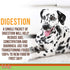 Dog Digestion - Dog Gut Health and Gas Relief - Bloating Relief Supplement for Dogs - Gel Packets - 10 Use