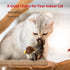 Gigwi Chirping Bird Cat Toy Set - Interactive Motion Activated Toy for Indoor Cats