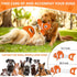 Squeaky Dog Toys, Durable Interactive Tug of War Puppy Toys for Indoor and Outdoor Play, Soft Fabric for All Dogs