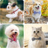 Segarty 10 PCS Puppy Bow Ties, Dog Bowtie Collar Bulk for Holiday Cat Grooming, Cute Plaid Pattern