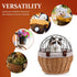 Commuting Puppy Bike Carrier Handwoven Wicker Pet Basket with Straps for Dog Cat Riding, Front Mounted Animal Carrier