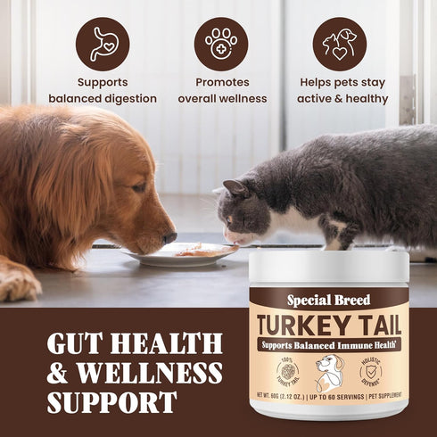 Immune 60 Organic Turkey Tail Mushroom for Dogs and Cats, Support with Beta Glucans and Polysaccharides, Digestive