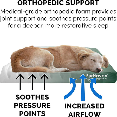 Furhaven Water-Resistant Orthopedic Dog Bed for Medium/Small Dogs, Removable Washable Cover - Forest
