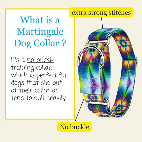 Country Brook Petz HossFit Jr Wide Martingale Dog Collar - Groovy Collection, Tie Dye Flowers, Medium