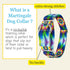 Country Brook Petz HossFit Jr Wide Martingale Dog Collar - Groovy Collection, Tie Dye Flowers, Medium