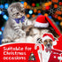 Maitys 80 Pcs Christmas Dog Collar with Bow, Snowman, Snowflake, Christmas Tree, Adjustable Neckties for Pets