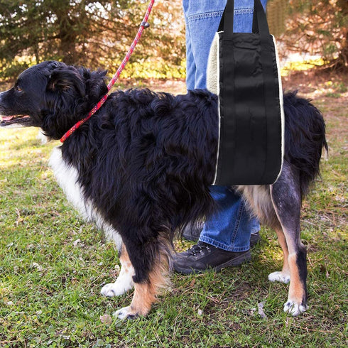 20-150lb Dog Sling for Large Dogs, Heavy Duty Portable Lift Harness, Black, Large, Hind Leg Support