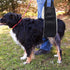 20-150lb Dog Sling for Large Dogs, Heavy Duty Portable Lift Harness, Black, Large, Hind Leg Support