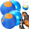 LaRandom 2 Set 17 Inch Herding Ball for Dogs, Dog Herding Ball with
