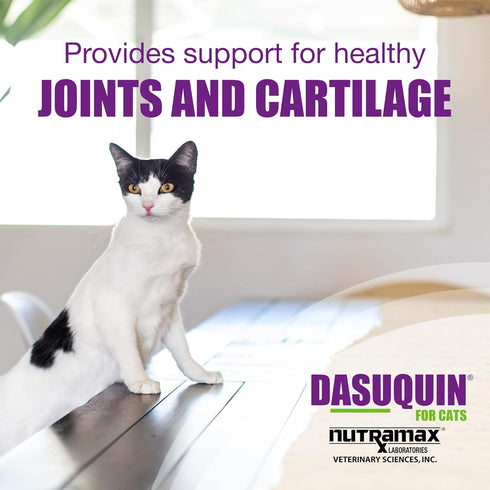 Omega-3, 84 Nutramax Dasuquin Joint Health Supplement for Cats - With Glucosamine, Chondroitin, ASU, Boswellia Serrata
