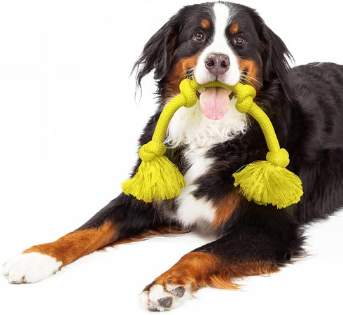 Playology Rope Toys for Dogs | Tug of War Dog Toy for Aggressive Chewers | Chicken Scented Dog Toys | Mega Rope Toy