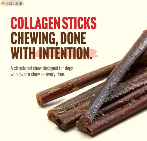 (6 Inch, 10 Pack), 95% Natural Farm Odor-Free Bully Coated Gourmet Collagen Sticks Real Bully Beef Coated, Natural