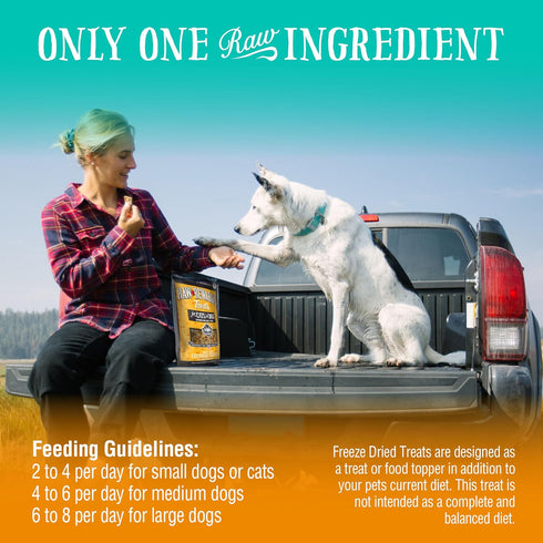 Northwest Naturals Raw Rewards Freeze-Dried Cheddar Cheese Treats for Dogs and Cats - 6 Oz Healthy, Human Grade