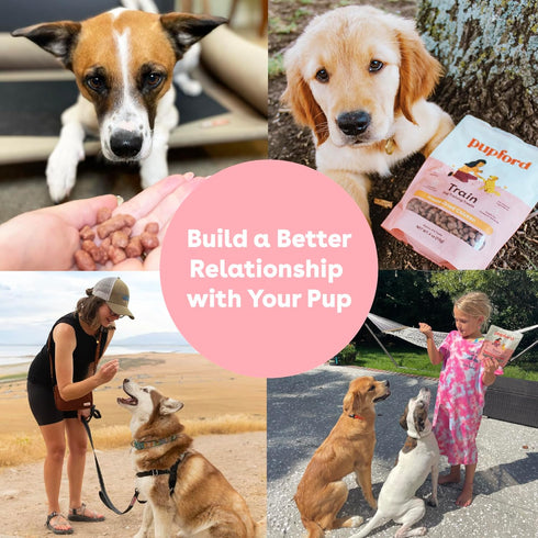 1400+ 4 oz, 3 Pack) Pupford Freeze Dried Training Treats for Dogs & Puppies, Two Ingredient Bites (Chicken