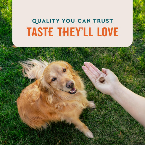 60 Count VetIQ Allergy Pro+ Soft Chews for Dogs, Dog Allergy Chews, Seasonal Support, Colostrum, Astragalus Root