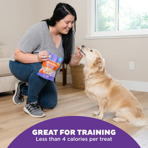 Outward Hound Nina Ottosson Puzzle Bitez Training Treats: Peanut Butter Flavor Soft Small Dog Treats