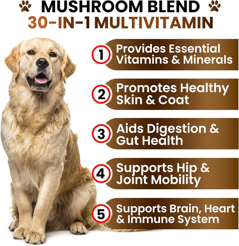 170 Immune Turkey Tail Mushroom Supplement for Dogs - Chews - Mushrooms for Dogs - Reishi, Lions Mane, Glucosamine