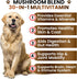 170 Immune Turkey Tail Mushroom Supplement for Dogs - Chews - Mushrooms for Dogs - Reishi, Lions Mane, Glucosamine