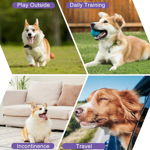 (2 Pack Regular+2 Pack U-WWDQB02XL Female Dog Diapers Reusable No Tail Hole Period Panties Washable Diapers Female