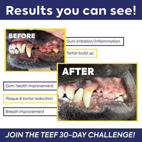 Packets Protektin42 1 Packet 30 TEEF FOR LIFE Refill Prebiotic Dental Powder for Dogs, Plant-derived, clinically-Proven