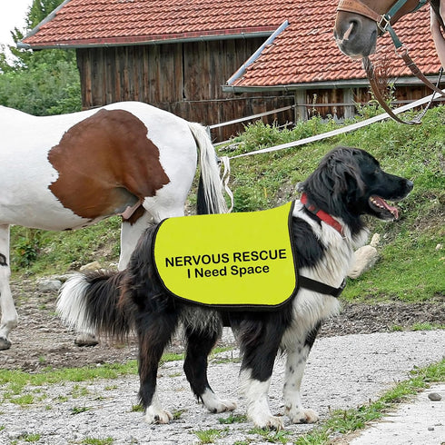 Nervous Rescue Dog Jacket Vest, Dog Walking Slogan Warning Vest, Medium
