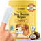 Jasper Dog Dental Wipes, Vet-Recommended All-Natural Finger Toothbrush Wipes for Dogs, Fresh