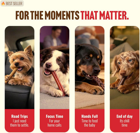 (6 Inch, 10 Pack), 95% Natural Farm Odor-Free Bully Coated Gourmet Collagen Sticks Real Bully Beef Coated, Natural