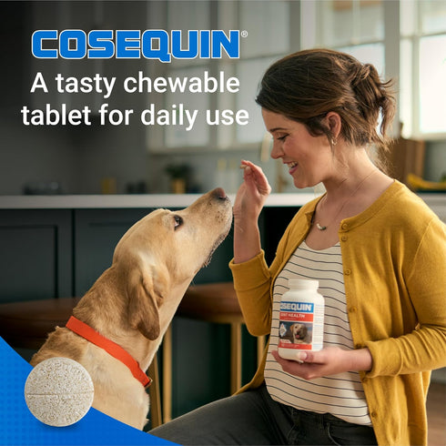 60 Count Nutramax Cosequin for Dogs Joint Health Supplement, Contains Glucosamine for Dogs, Plus Chondroitin and MSM