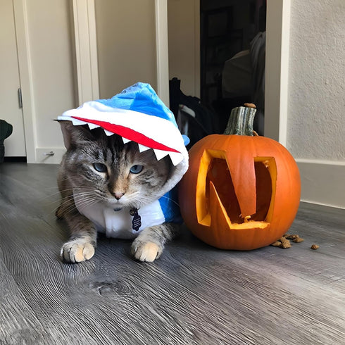 NACOCO Dog Shark Costume, Cute Pet Clothes for Cats and Dogs, Blue, XS