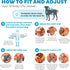 Outward Hound Granby Splash Orange Dog Life Jacket - Small