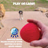Skip NN' Fetch Small/Medium Floating Dog Toys Qty 2 | Fun for Swimming Pool, Lake, Beach, and Land | Perfect for