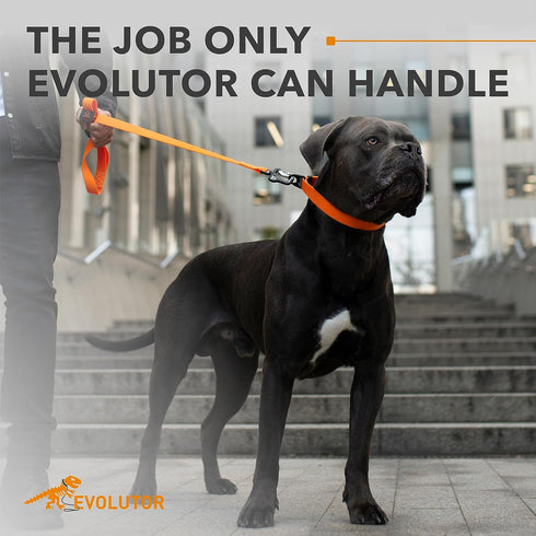 COLLAR Evolutor Extra Heavy Duty Dog Leash, 4 Ft, Orange, for Large, Medium, and Small Dogs