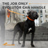 COLLAR Evolutor Extra Heavy Duty Dog Leash, 4 Ft, Orange, for Large, Medium, and Small Dogs