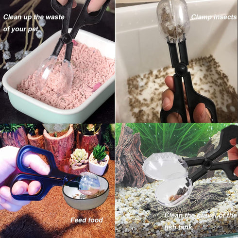 Tiny Cleaning Broom, Scooper Feeding Tool, Mini Dustpan and Brush, Stainless Steel Tweezer for Reptiles