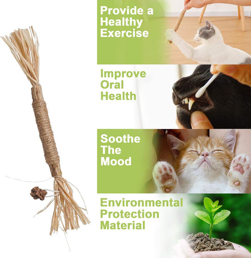 PAZ'S GIFT Catnip Toy, 2pcs Cat Chew Kicking Silvervine Stick, Indoor Interactive Dental Care for Kittens