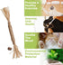 PAZ'S GIFT Catnip Toy, 2pcs Cat Chew Kicking Silvervine Stick, Indoor Interactive Dental Care for Kittens