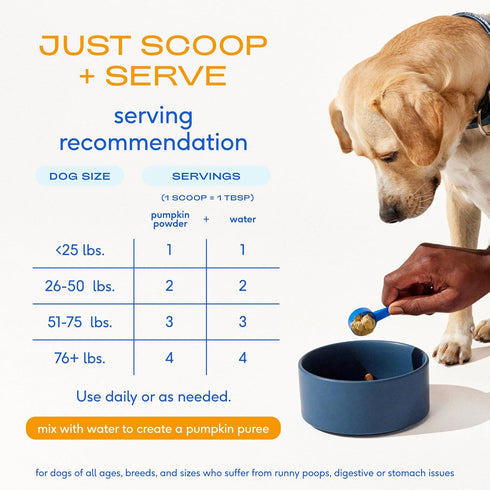(4.75 oz) (8 oz.) Native Pet Beef Bone Broth for Dogs & Organic Pumpkin for Dogs - Dog Bone Broth Powder Food Topper