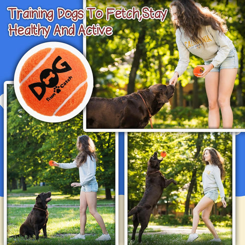 2.5'', 20Pack INSUM Squeaky Dog Balls - Squeaky Tennis Balls for Dogs, Multicolor | Medium