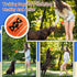 2.5'', 20Pack INSUM Squeaky Dog Balls - Squeaky Tennis Balls for Dogs, Multicolor | Medium