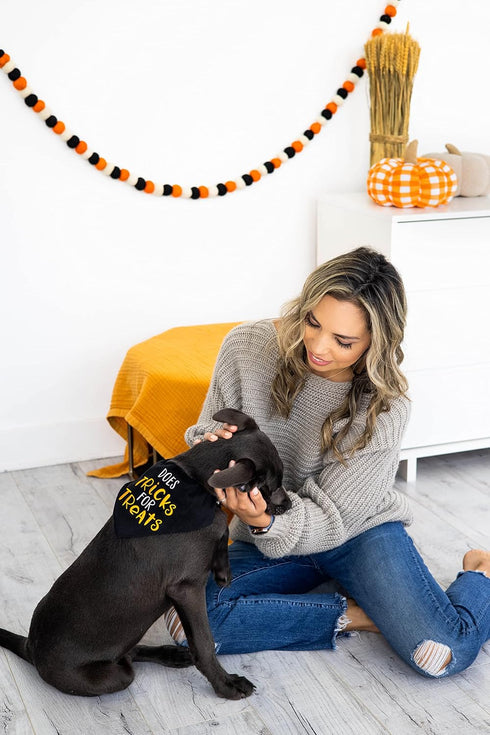 Pearhead Trick or Treat Bandana, Fall Holiday Dog Apparel, Halloween Costume, Slip On Collar Accessories, Small/Medium