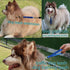 Traffic Dog Leash - Dog Training Leash with Grab Handle, Pet Dog Traffic Grab Tab (Green & Blue)