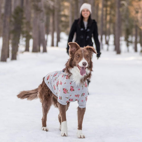 Blueberry Pet Floral Dog Hoodie, Rose Print Pullover Sweatshirt for Small Dogs, 10" Back Length, Stylish Grey