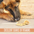 Sweet Potato Treats for Dogs, 12 oz, Low Calorie, Low Fat Alternative to Traditional Dog Biscuits