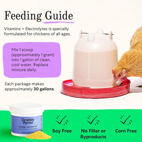 (30 Grubbly Farms Vitamins + Electrolytes Water Supplement for Chickens Day)