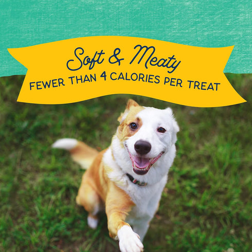 Natural Balance Limited Ingredient Mini-Rewards, Chicken Grain-Free Training Treats for Dogs, 5.3-oz Canister