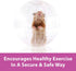 13" Chinchillas Kaytee Clear Run-About Exercise Ball For Pet Rats