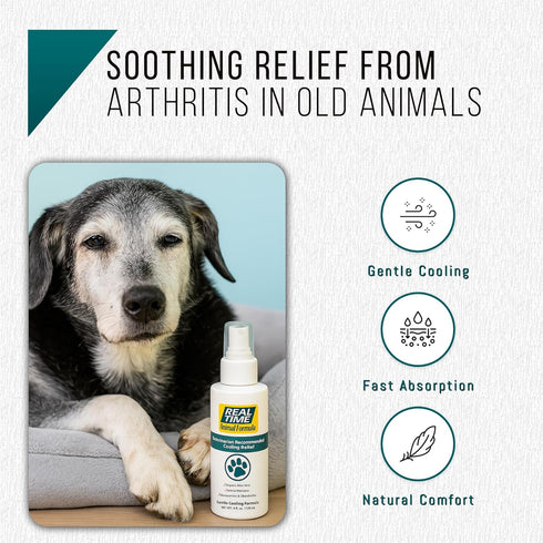 Real Time Pain Relief Pet Formula - 4oz Spray Bottle | Vet Recommended with 16 Natural Ingredients Including Menthol,